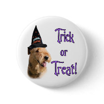 Airedale Terrier Trick