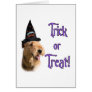 Airedale Terrier Trick