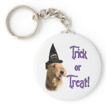 Airedale Terrier Trick
