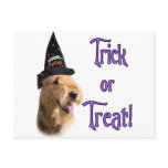 Airedale Terrier Trick Postcards
