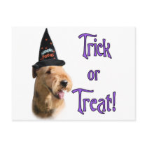 Airedale Terrier Trick