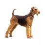 Airedale Terrier Shirt