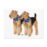 Airedale / Welsh Terriers Patriotic Postcard