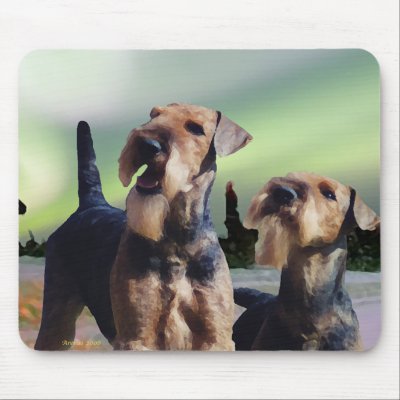 Airedales and Auroras by arenasfoxterrier