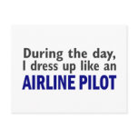 AIRLINE PILOT During The Day