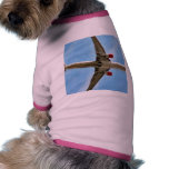 Airplane On Sky Close Up Dog T-shirt