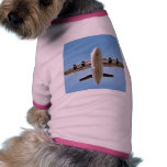 Airplane Takeoff High Doggie Tee