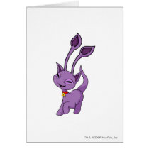 Aisha Purple cards