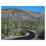 Ajo Mountains, Organ Pipe Cactus National Monument flyers