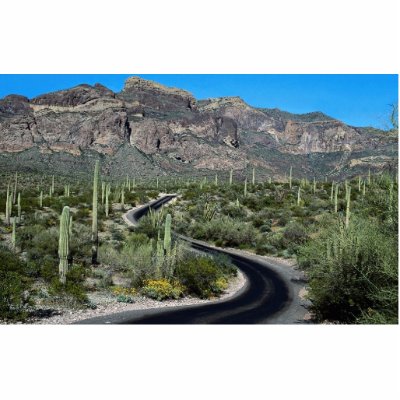 Ajo Mountains, Organ Pipe Cactus National Monument Photo Cut Outs by beautifulclicks