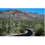 Ajo Mountains, Organ Pipe Cactus National Monument photo sculptures