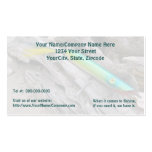 AJS Popper "Water Dragon" Saltwater Fishing Lure Business Card Templates