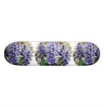 Ajuga Skateboard