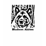 AK-HEAD, Hudson Akitas t-shirts
