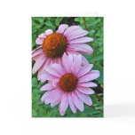 AK- Pink Coneflower Thank you Card