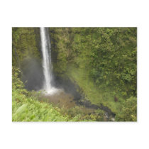 Akaka Falls, Hamakua Coast, Island of Hawaii, Postcard
