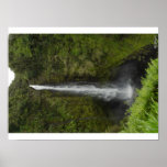Akaka Falls, Hawaii Poster