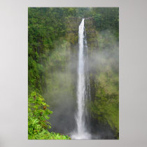 Akaka Falls - Hawaii Print
