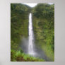 Akaka Falls Hilo, Hawaii Print