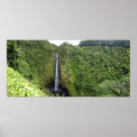 Akaka Falls horizontal panorama Print