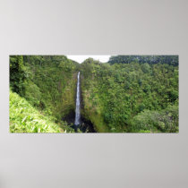 Akaka Falls horizontal panorama Print