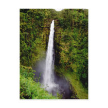 Akaka Falls, Island of Hawaii Waterfall