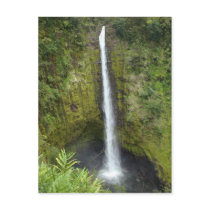 Akaka Falls Post Card