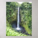 Akaka Falls Posters