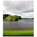 Akes Lough Gur Clouds Trees Ireland t-shirts
