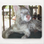 Akila's Muddy Mousepad