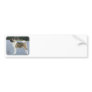 Akita 8P004D-12 Bumper Sticker
