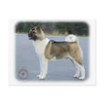 Akita 8P004D-12 Post Card