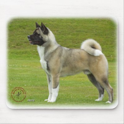 Akita 9R071D-147_2 Mouse Mats by TraffordPhotos