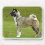 Akita 9R071D-147_2 mousepads