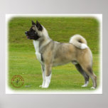 Akita 9R071D-147_2 Poster