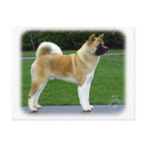 Akita 9T031D-052 Postcard