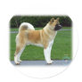 Akita 9T031D-052 Round Stickers