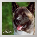 Akita Art Print Gifts