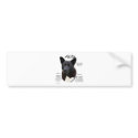 Akita (blk) History Design bumper stickers
