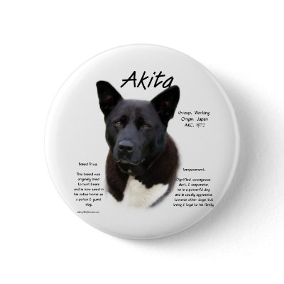 Akita (blk) History Design by GreyWolfCreation