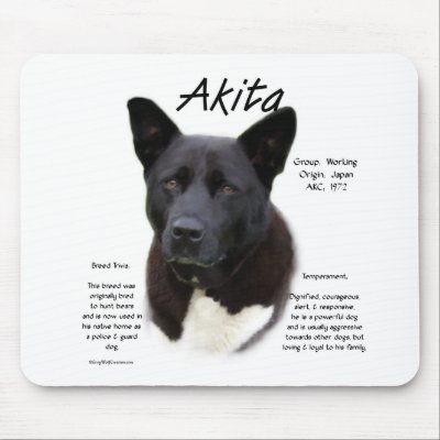 Akita (blk) History Design by GreyWolfCreation