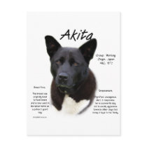 Akita (blk) History Design