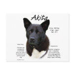 Akita (blk) History Design