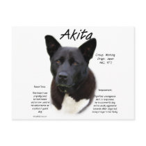 Akita (blk) History Design