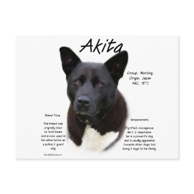 Akita (blk) History Design by GreyWolfCreation