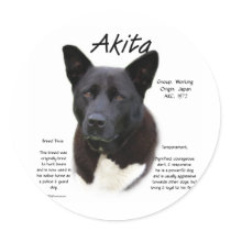 Akita (blk) History Design