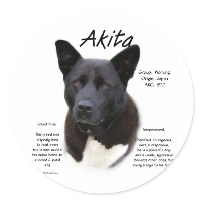 Akita (blk) History Design by GreyWolfCreation
