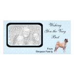 Akita - Blue w/ White Diamonds Design photo cards
