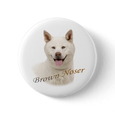 Akita Brown Noser by friskybiz