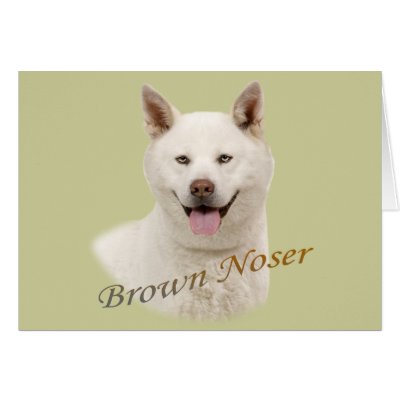 Akita Brown Noser by friskybiz